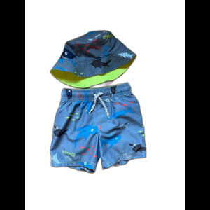 Carters swim truck and matching hat 2 T